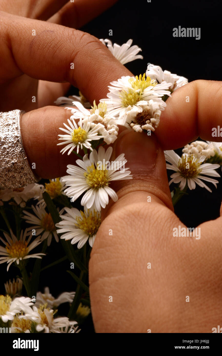 Sorriso De Maria Hi Res Stock Photography And Images Alamy