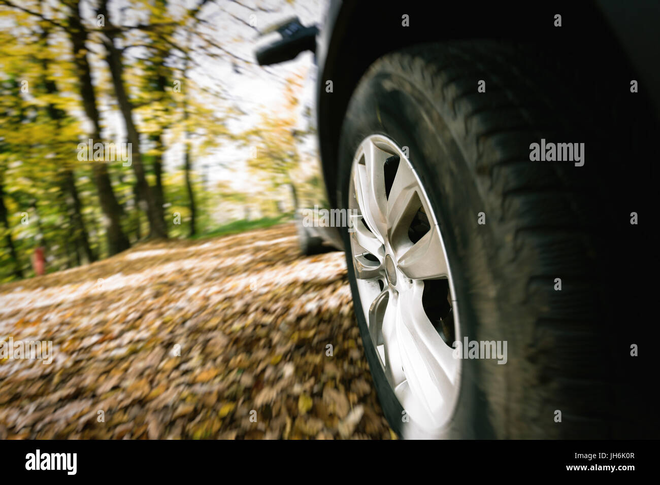 Close-up view of car's wheel in forest Stock Photo - Alamy