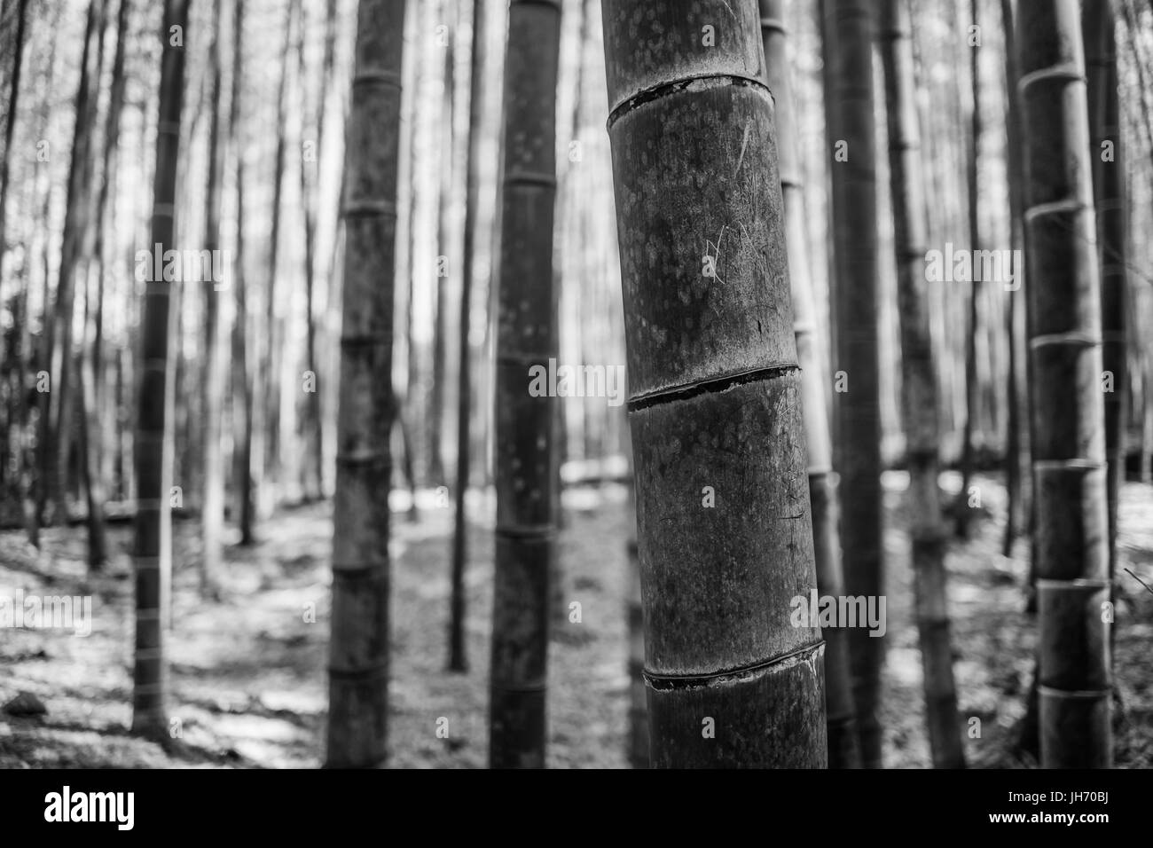 Abstract photos Black and White Stock Photos & Images - Alamy