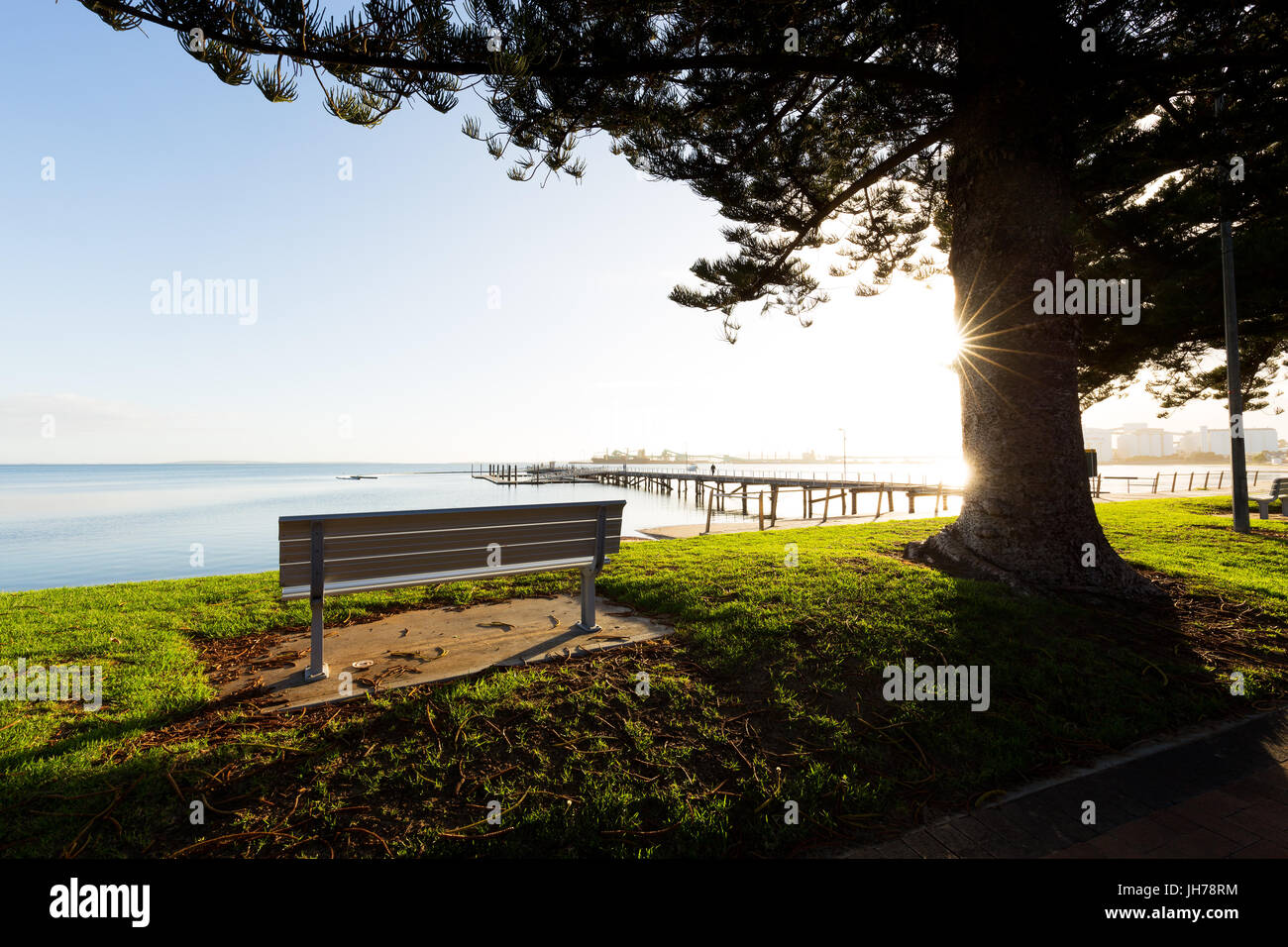 An empty park bench with a view over the sea under a beautiful tree back lit by bright sunrise light on a sparkling summer morning in Australia. Stock Photo