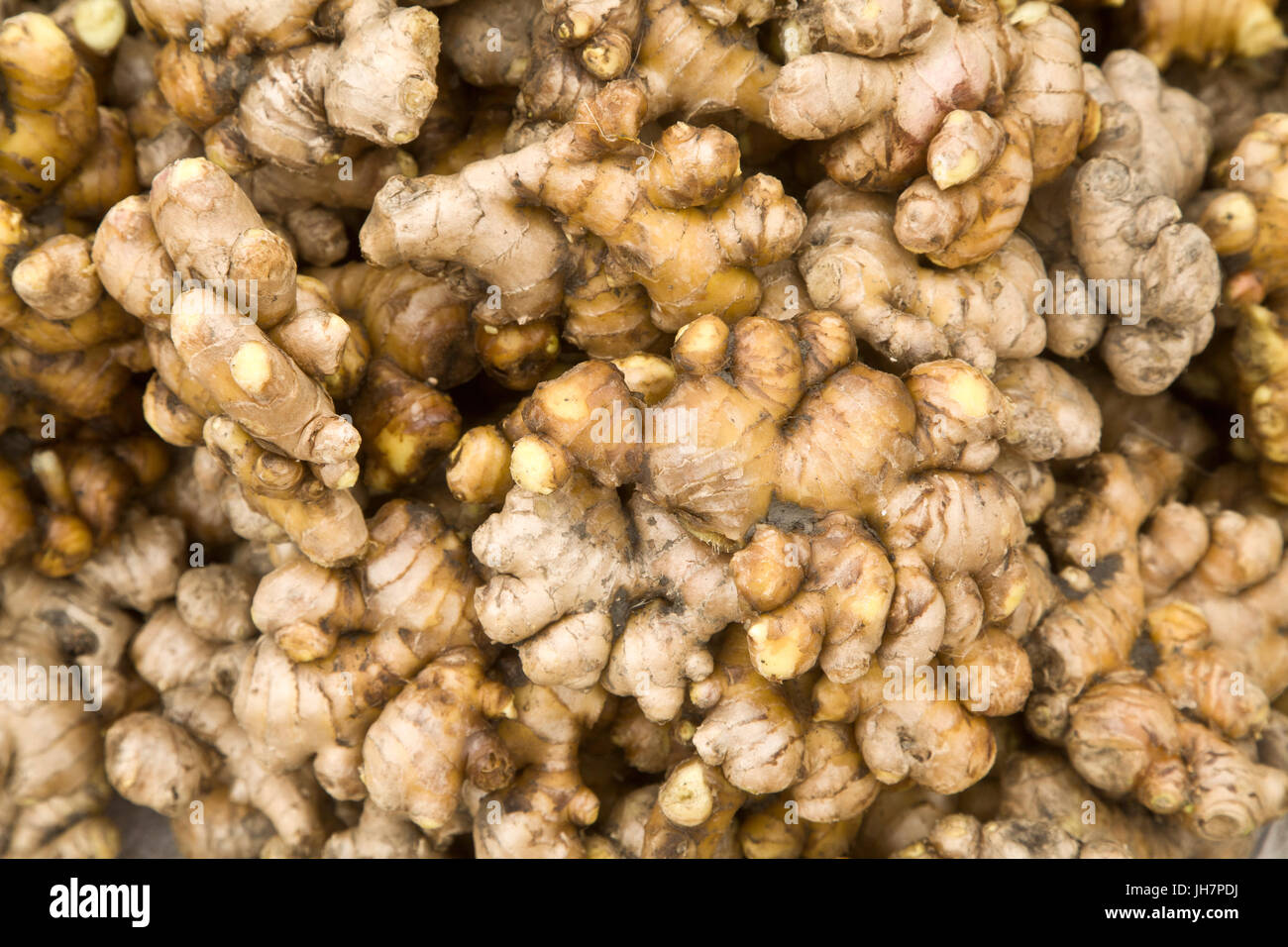 Background of ginger Stock Photo - Alamy