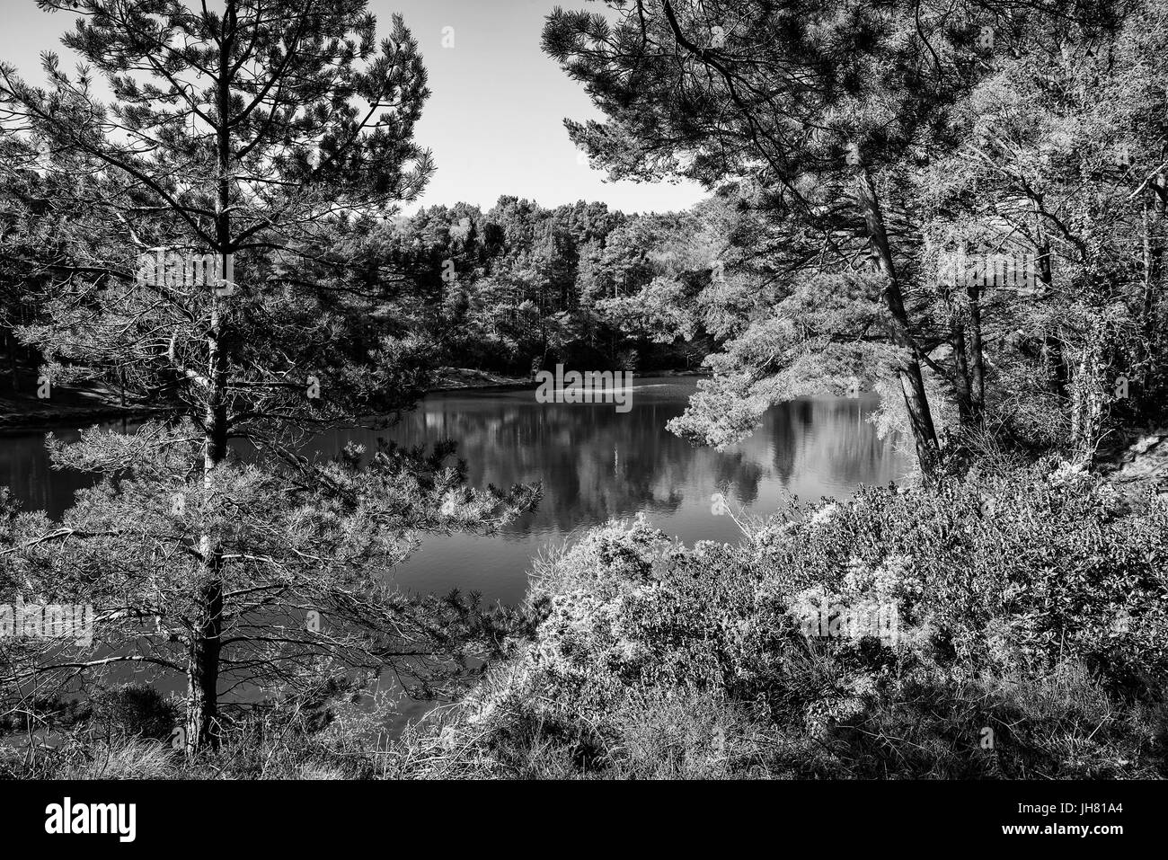 Black pit spring hi-res stock photography and images - Alamy