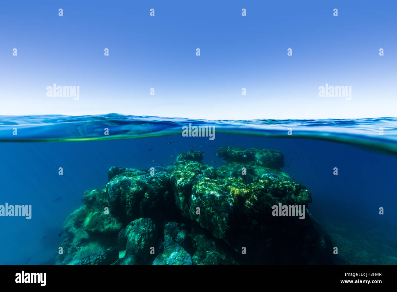 An under over split shot of a coral reef rising out of deep, clear blue water on a sunny day on the Great Barrier Reef. Stock Photo