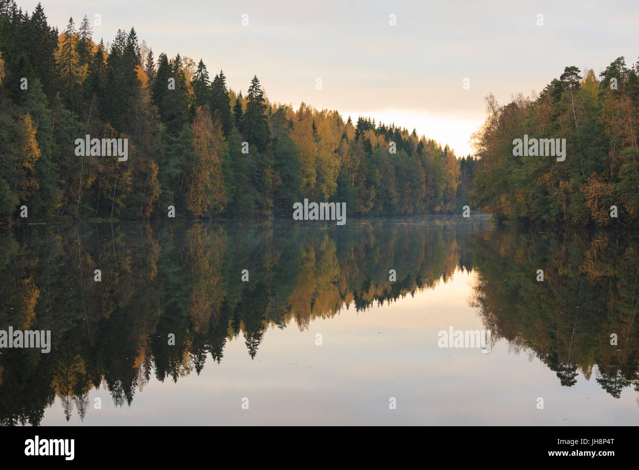 Calm autumn forest lake reflection Stock Photo - Alamy