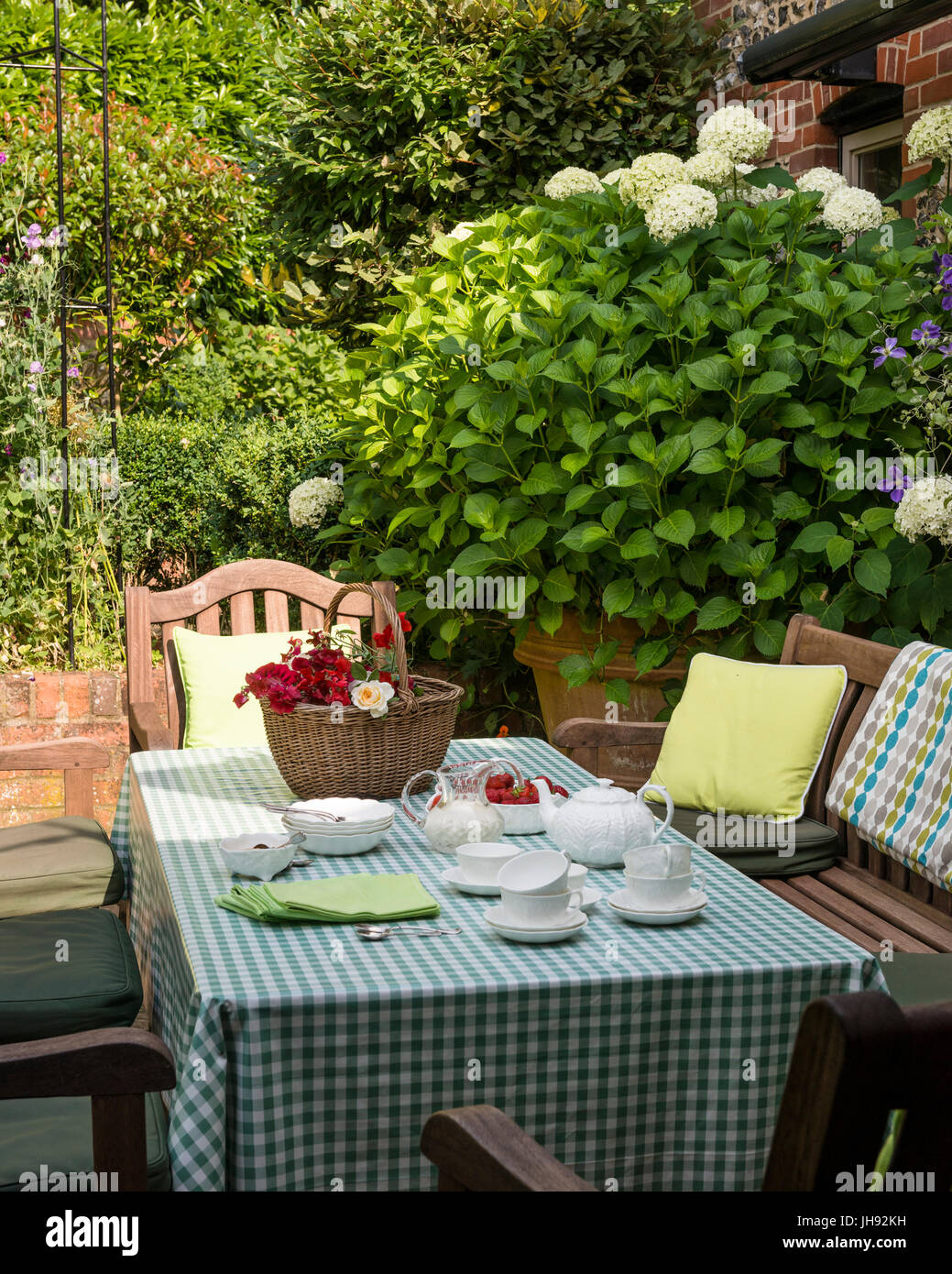 Afternoon tea on gingham tablecloth in garden Stock Photo