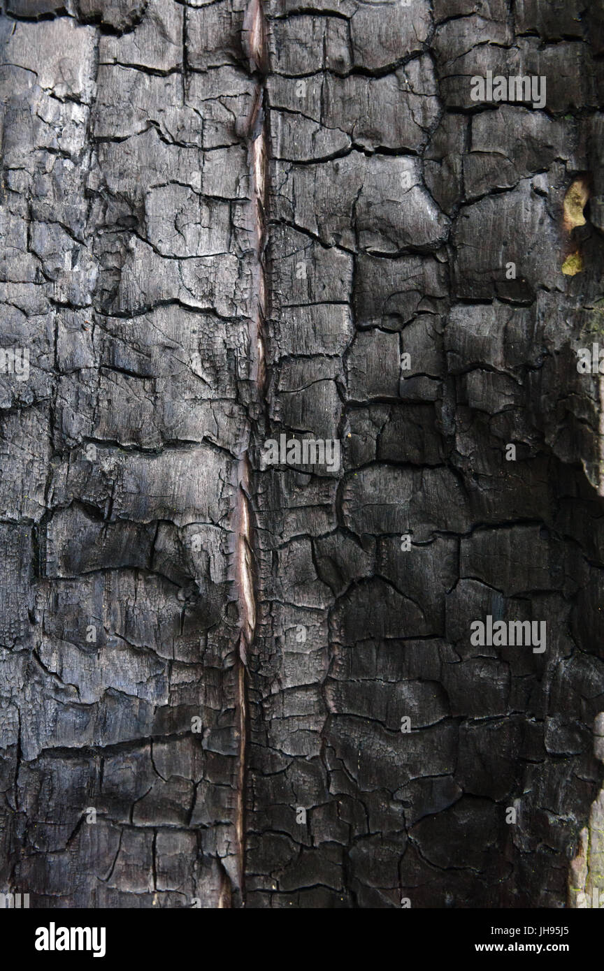 Wood burned hires stock photography and images Alamy