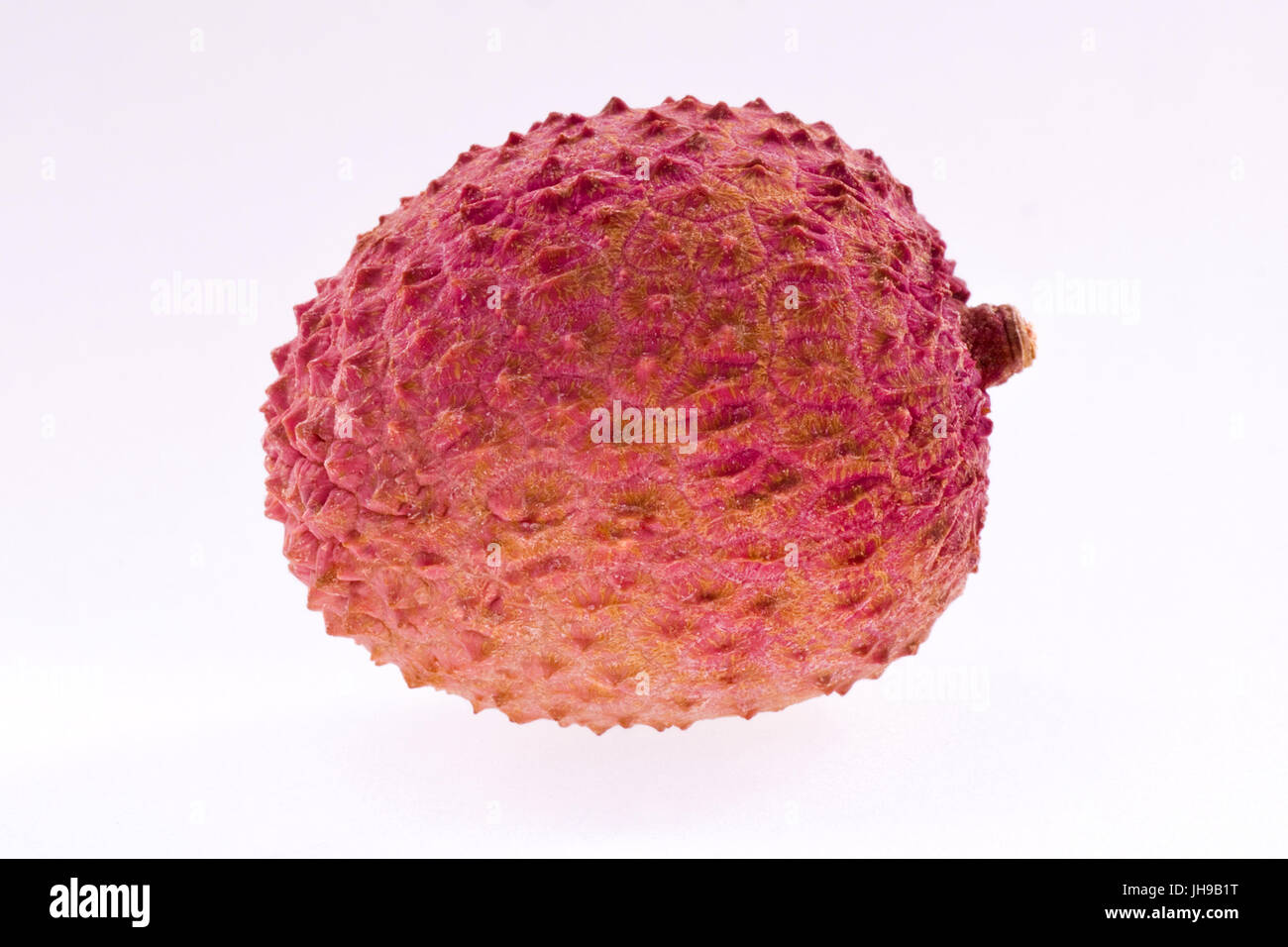 Over Ripe Lyche Lychee. Ripe fresh lychee on white background in photo studio Stock ...