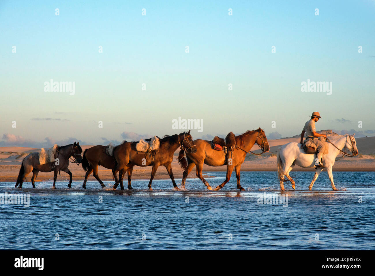 Horse ride from Cabo Polonio to Barra de Valizas, Rocha Department, Uruguay. Stock Photo
