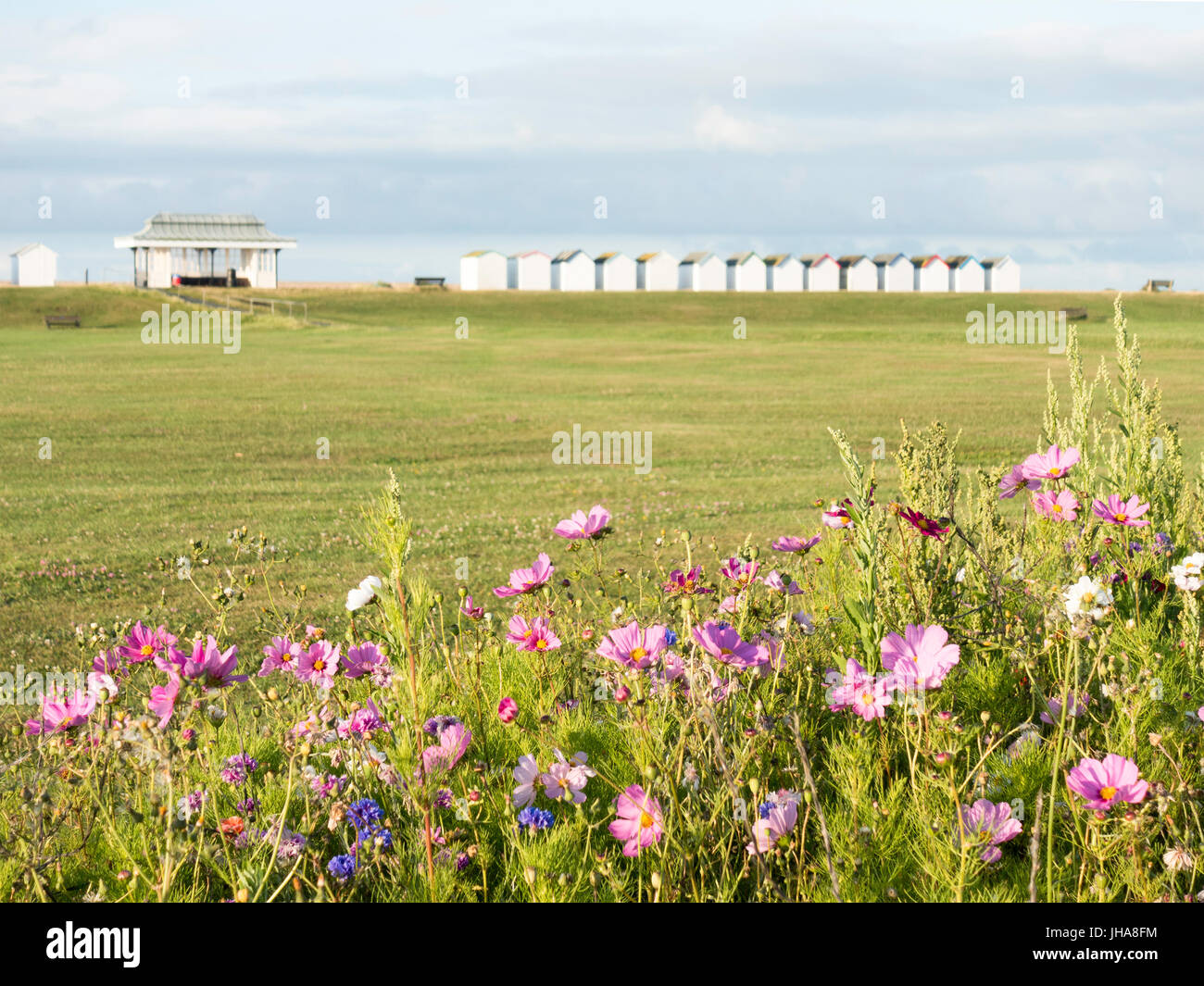 Goring by sea hires stock photography and images Alamy
