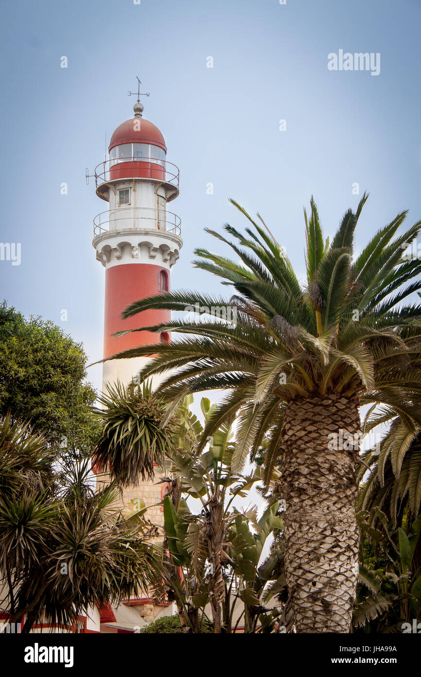 Lighthouse tree hires stock photography and images Alamy