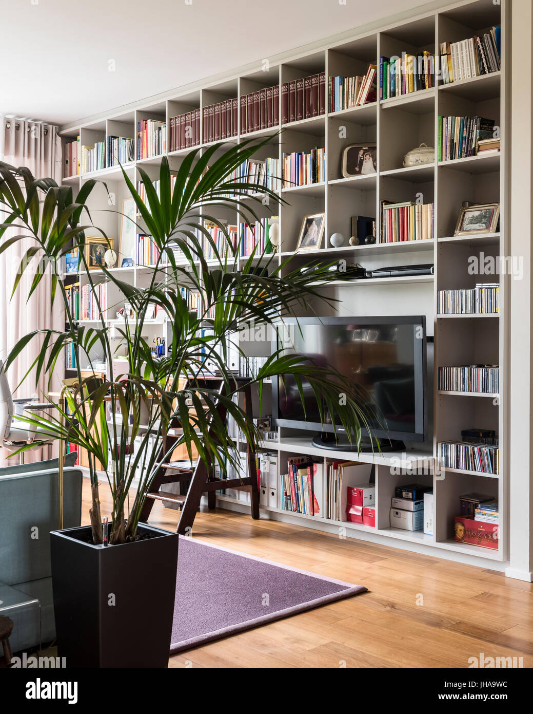 Houseplant by built in bookcase Stock Photo