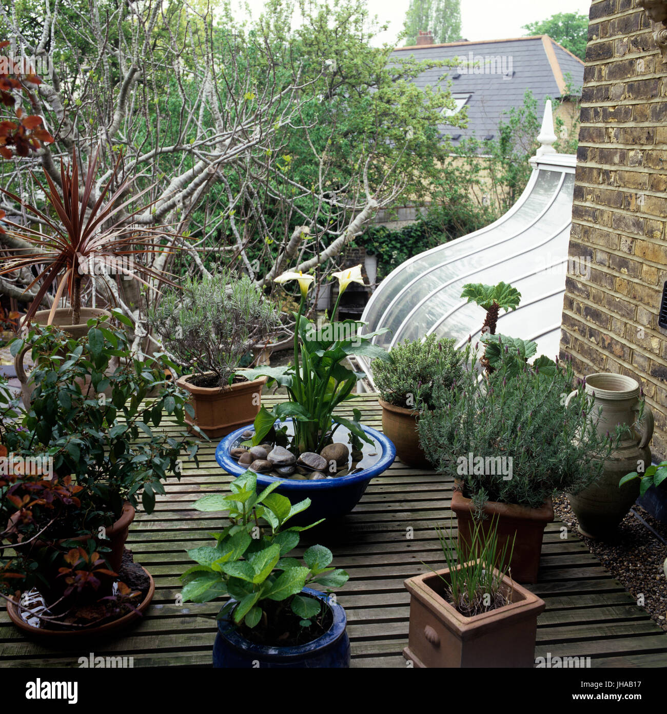 Potted plants on a deck Stock Photo Alamy