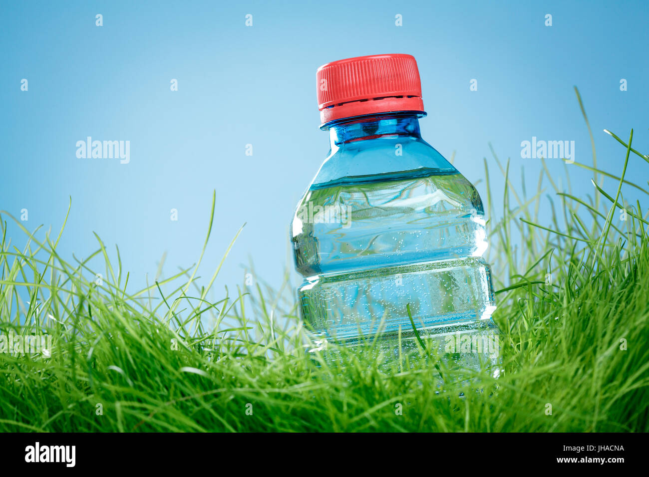 Bottle of water on the green grass Stock Photo - Alamy