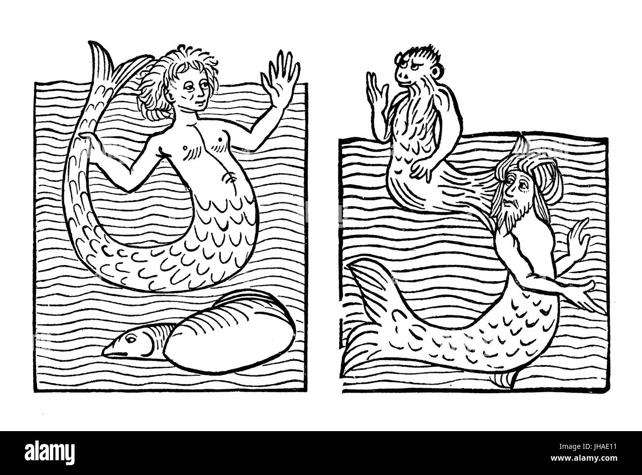 Sea monster and humal-like creature: mermaid, sea monkey, sea turk, medieval engraving, year 1491 Stock Photo