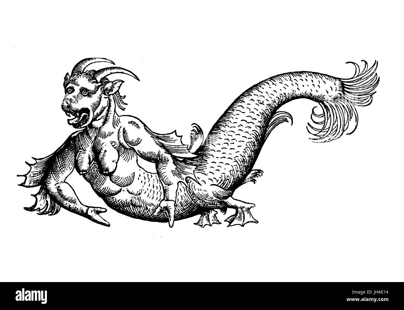 Sea devil monster of Adriatic sea, medieval engraving, year 1598 Stock Photo