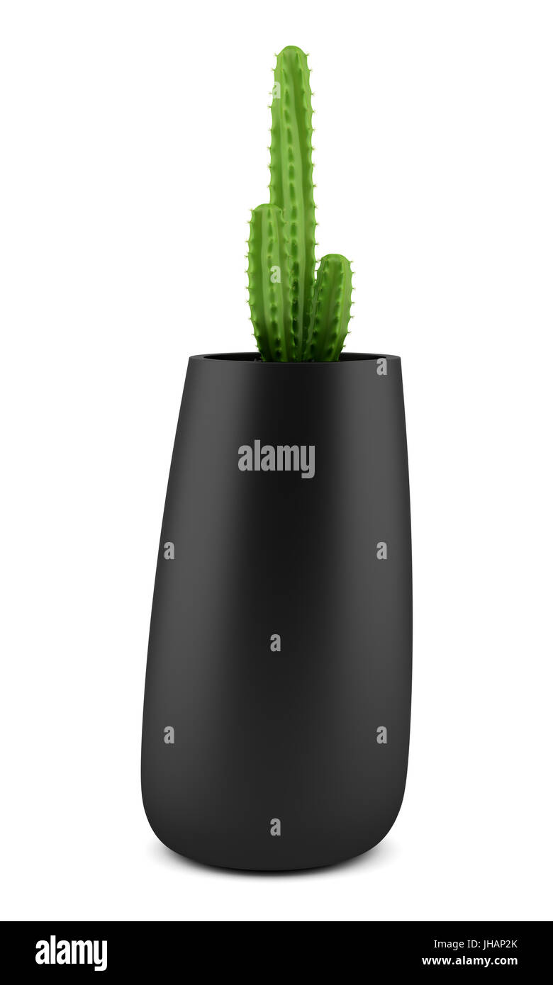 cactus in pot isolated on white background Stock Photo - Alamy