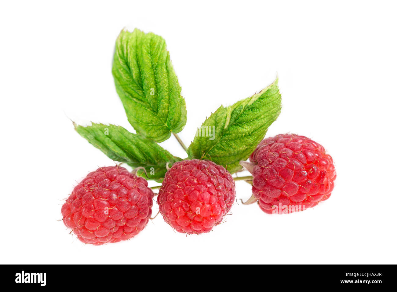 Bunch of a red raspberry isolated on white Stock Photo