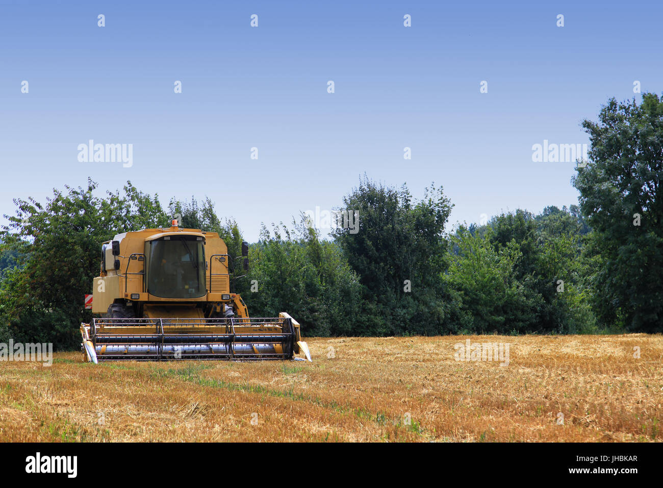 Harvester thresher on wheat field Stock Photo