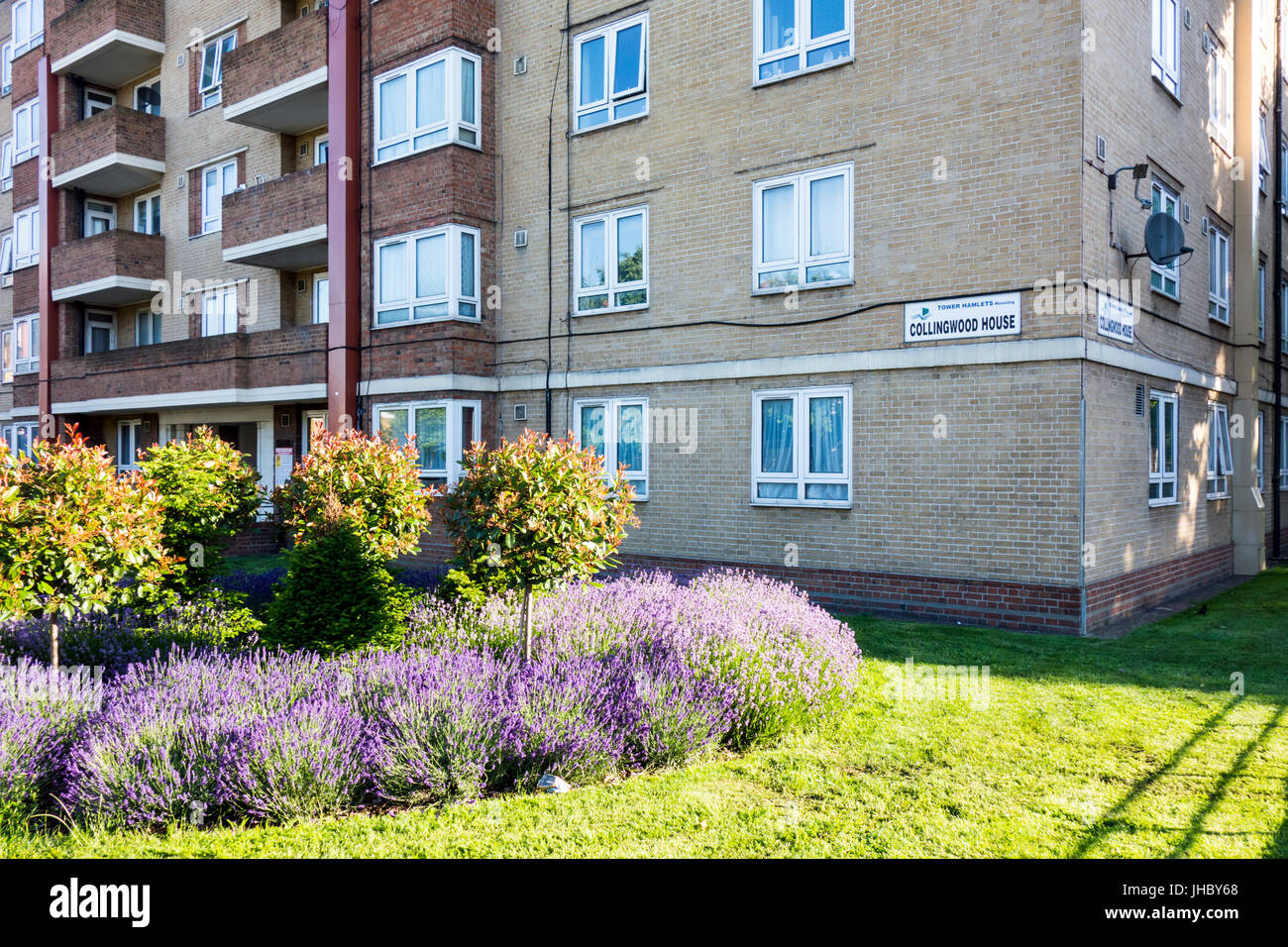 Collingwood House, Darling Row, Bethnal Green, Tower Hamlets, East London, UK. social housing uk, council housing uk Stock Photo