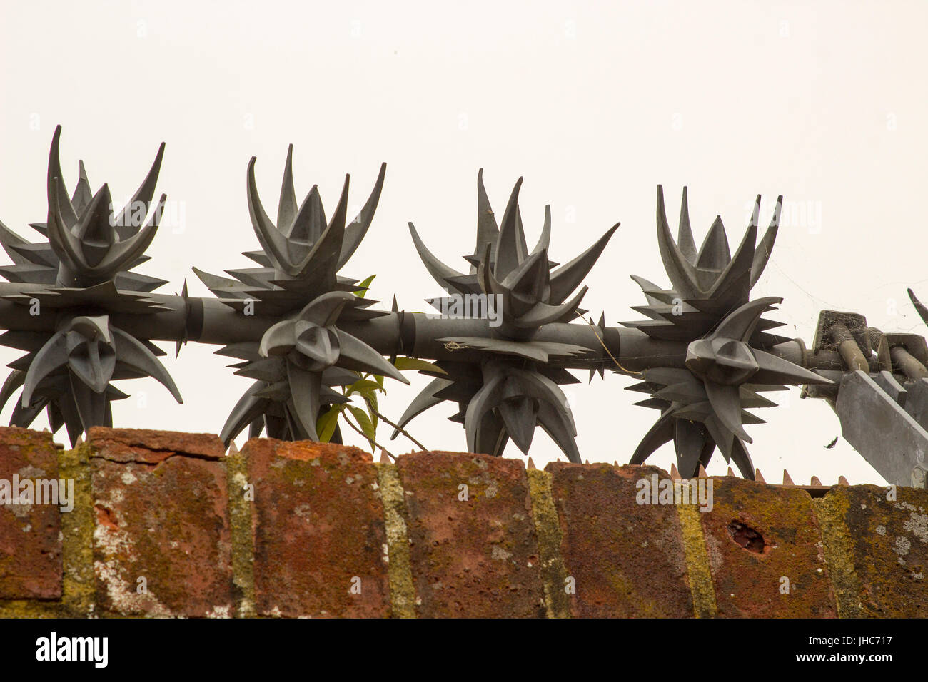 Anti wall climbing spinners with sharp barbs on the top of a brick wall to deter intruders and burglars Stock Photo