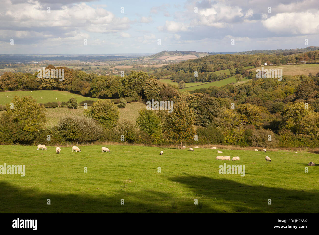 View over Cotswold landscape over to Meon Hill, Saintbury, Cotswolds, Gloucestershire, England, United Kingdom, Europe Stock Photo