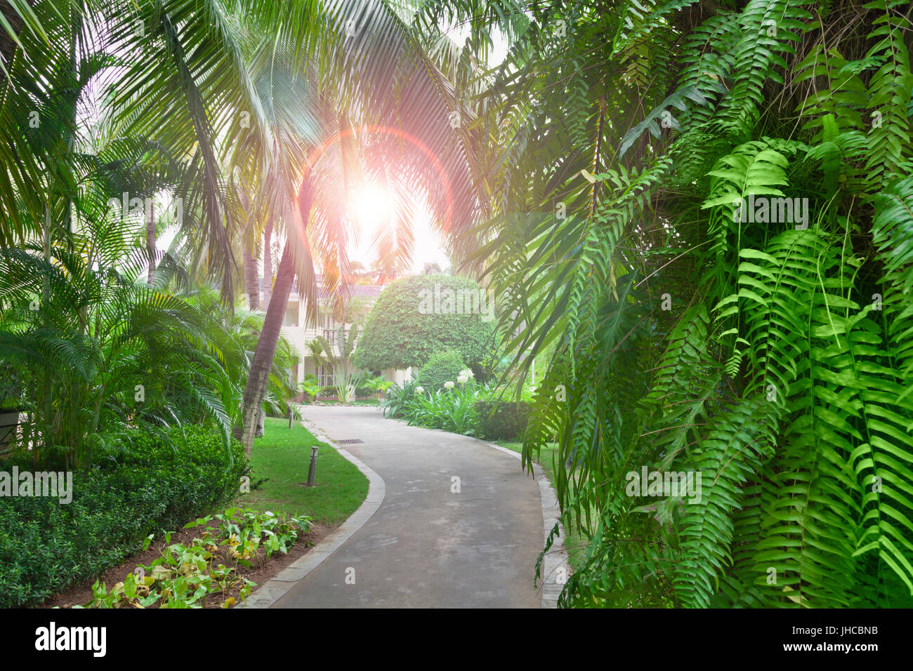 Lush green tropic garden hi-res stock photography and images - Alamy