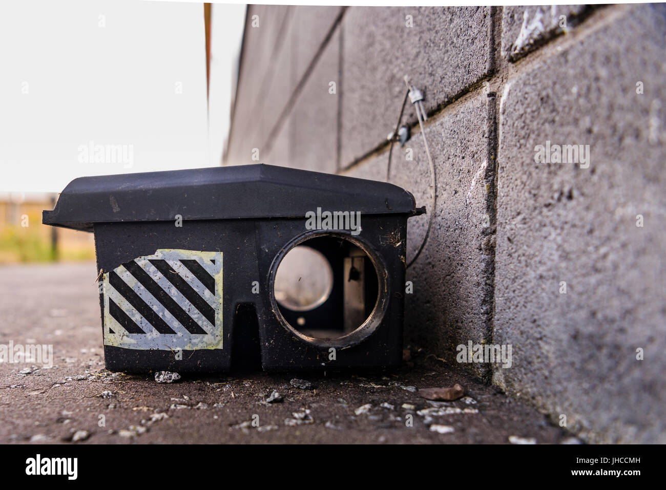 Rat trap on ground outside a building, containing poison. Stock Photo
