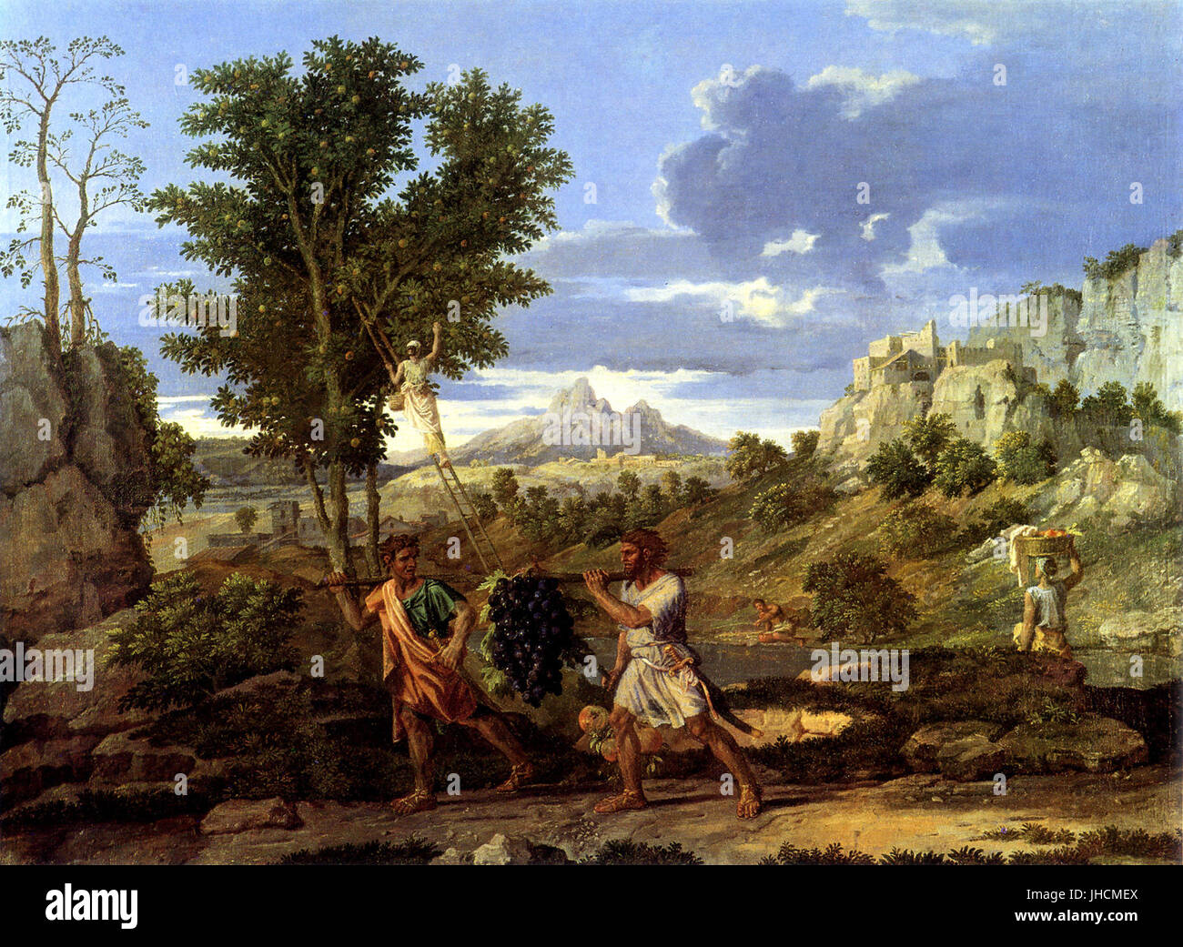 Four seasons trees series hi-res stock photography and images - Alamy