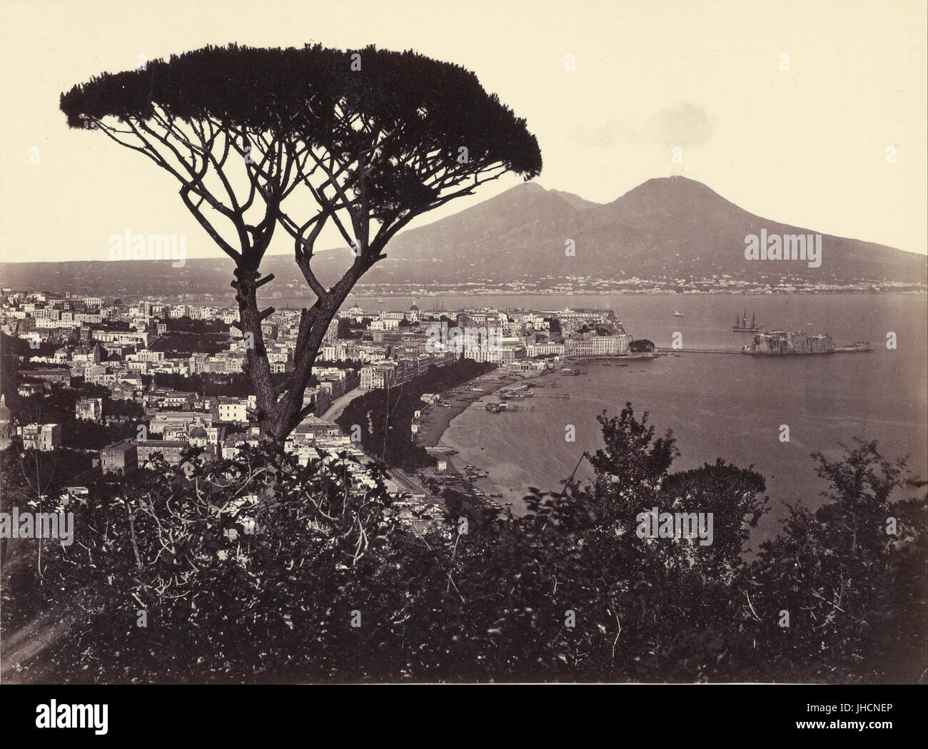 Giorgio Sommer (Italian, born Germany - Panorama of Vomero with Pine Tree - Stock Photo