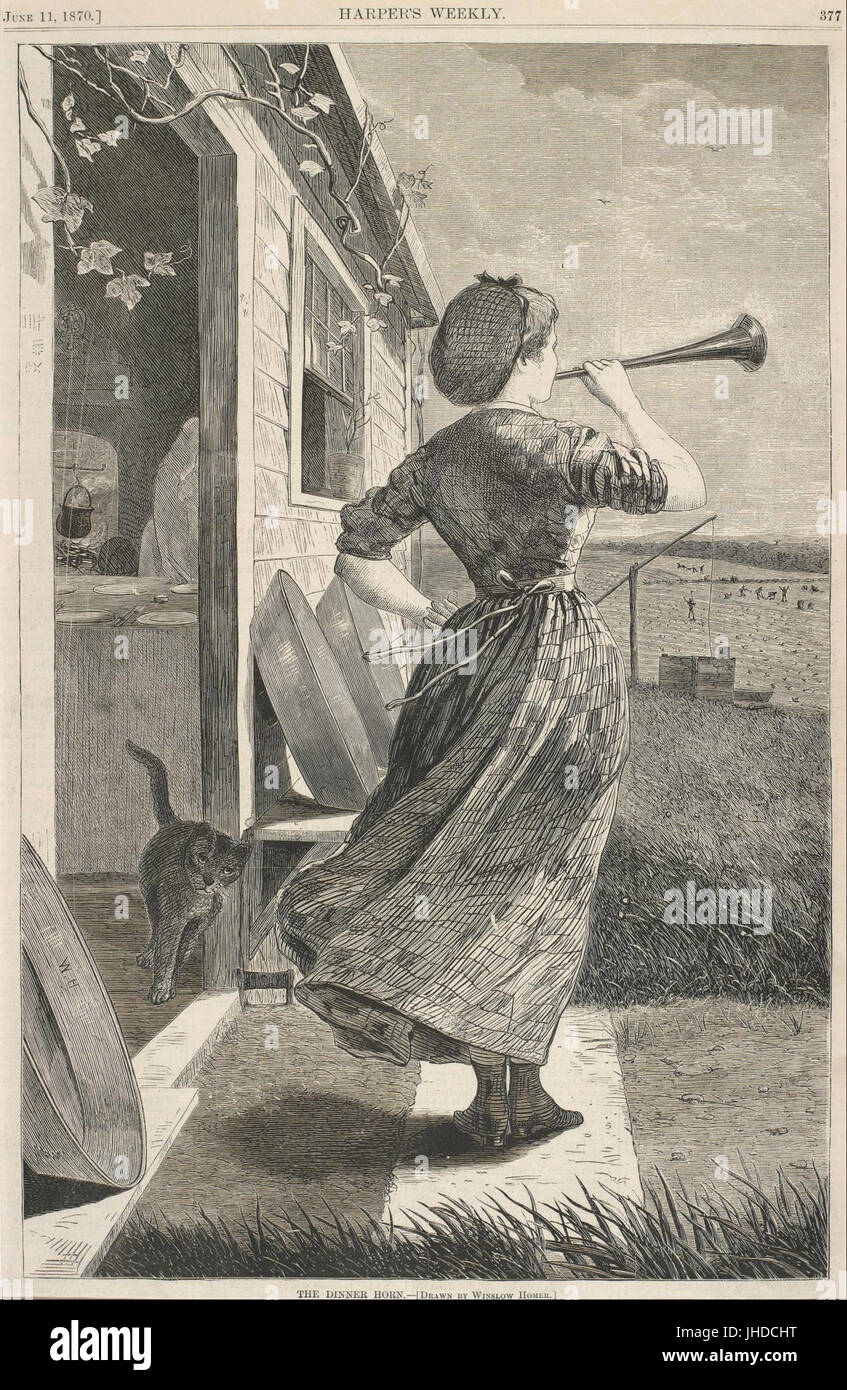 Ein Krankes Huhn Winslow Homer