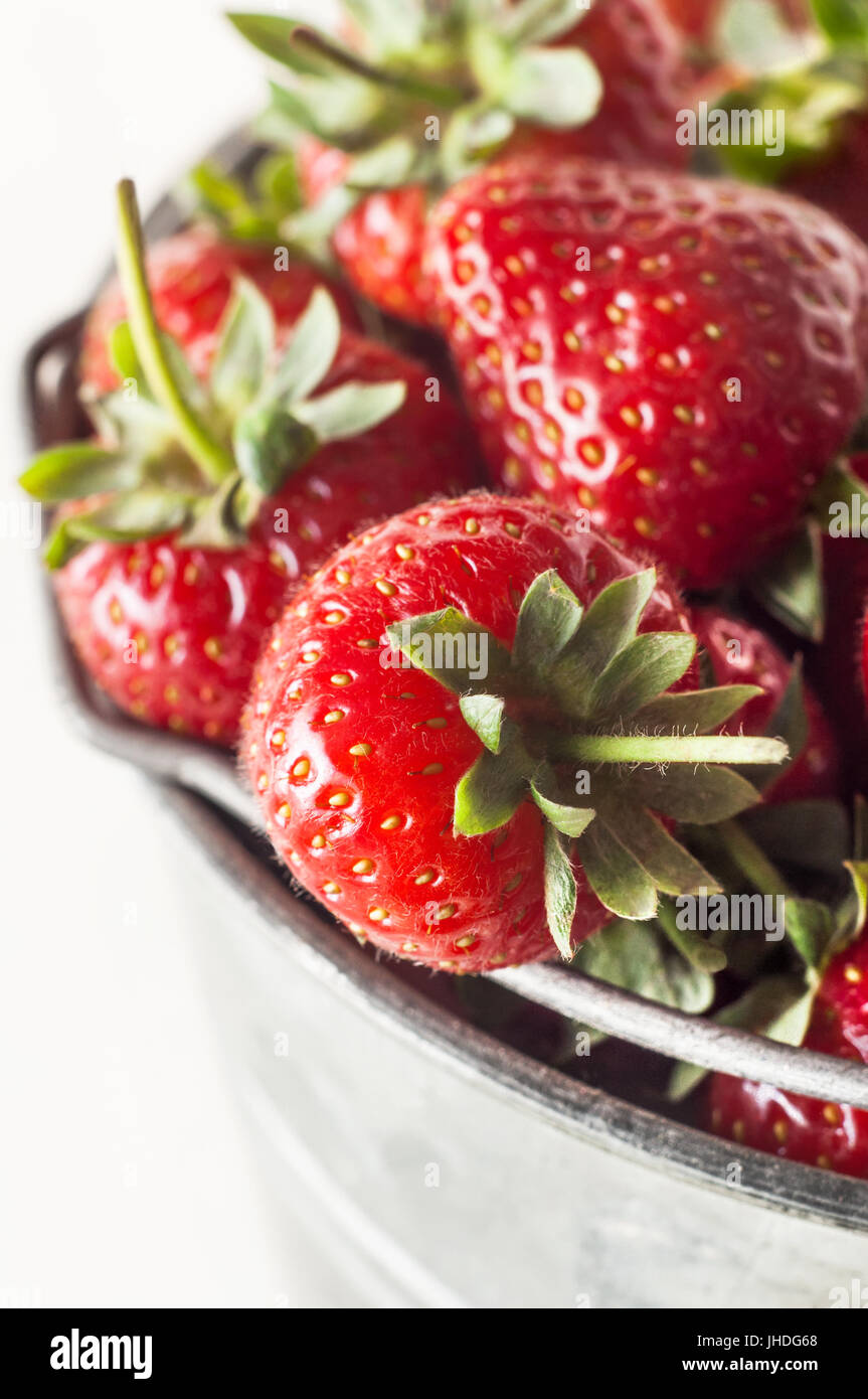Elevated, angled close up view of fresh ripe strawberries with leaves and stalks, piled high in a metal pail (bucket). Stock Photo