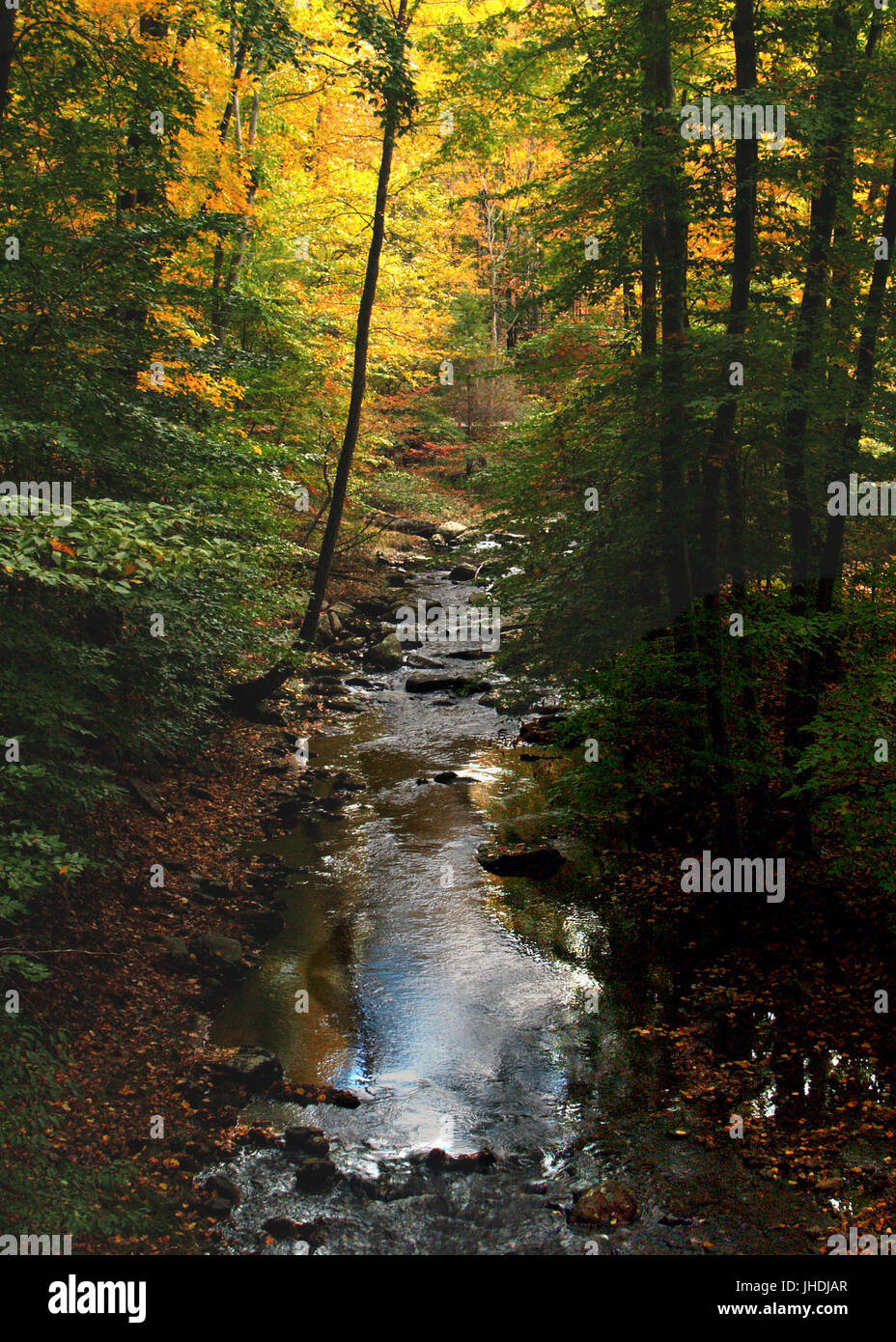 Streams with fruit trees hi-res stock photography and images - Alamy
