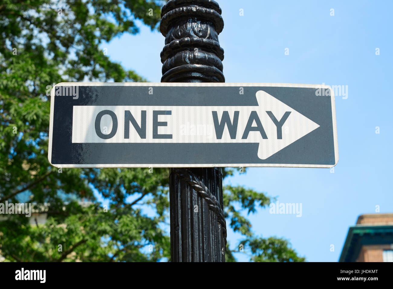 One way street sign in New York with green tree branches and blue sky Stock Photo