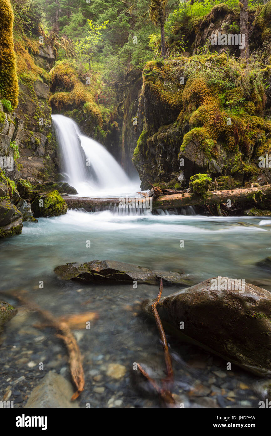 Waterfall Virgin Creek Falls Girdwood Anchorage Alaska USA Stock waterfall-virgin-creek-falls-girdwood-anchorage-alaska-usa-stock