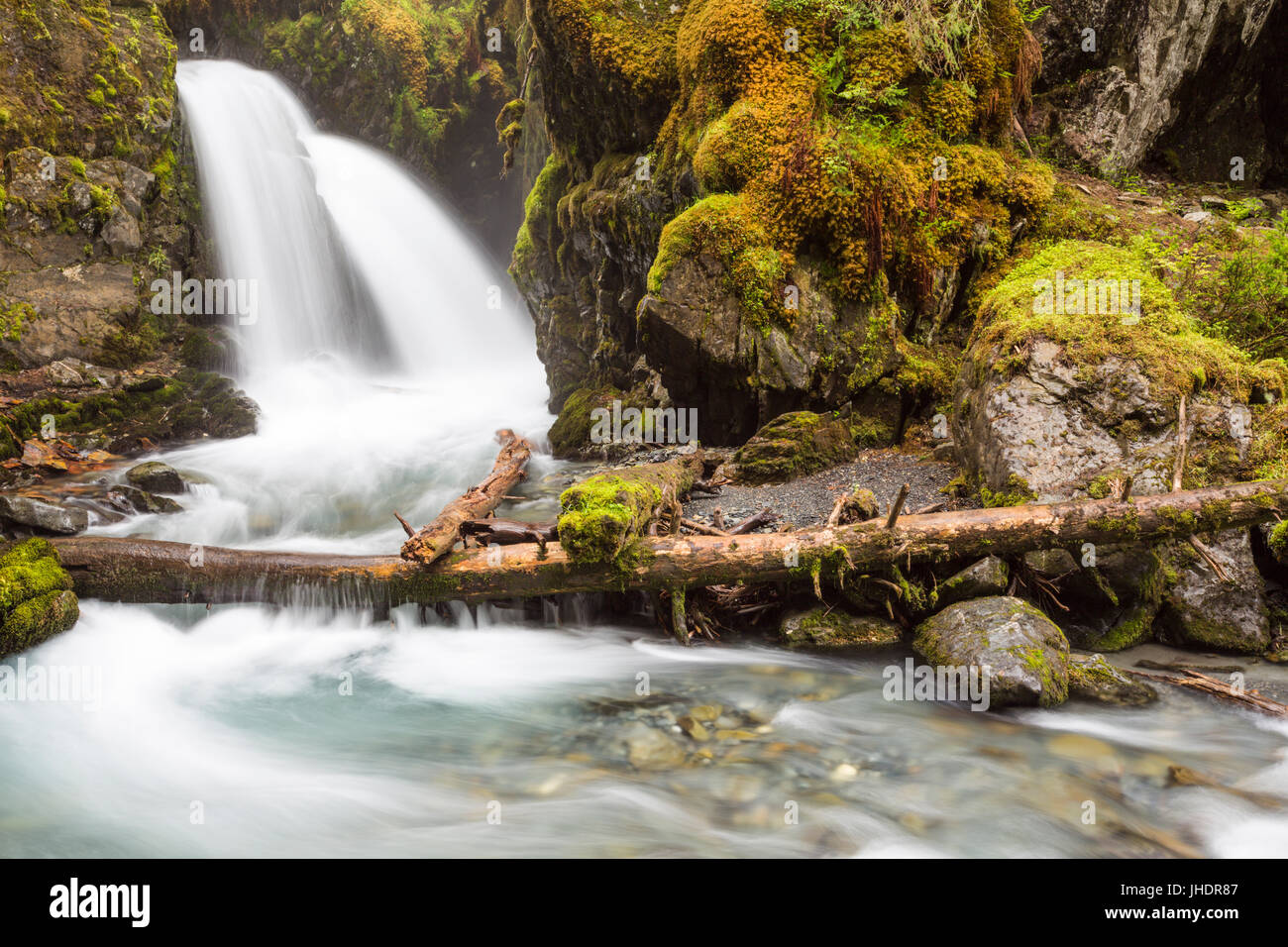 Alaskan Rainforest Hi res Stock Photography And Images Alamy alaskan-rainforest-hi-res-stock-photography-and-images-alamy