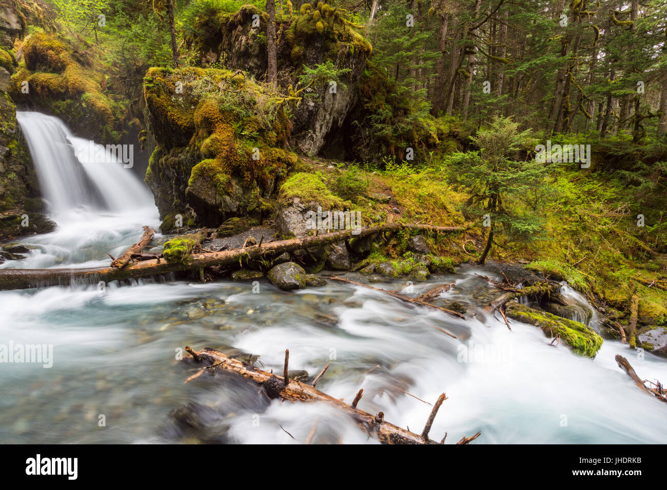 North America Landscape Green Waterfalls Rainforest Hi res Stock north-america-landscape-green-waterfalls-rainforest-hi-res-stock