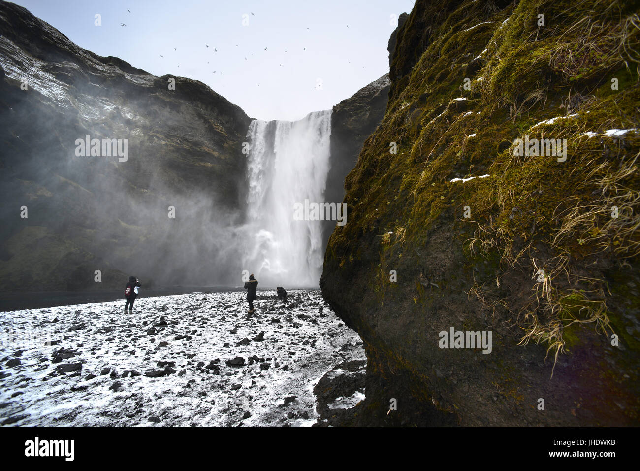 Skogafoss waterfall, Iceland, in winter. Stock Photo