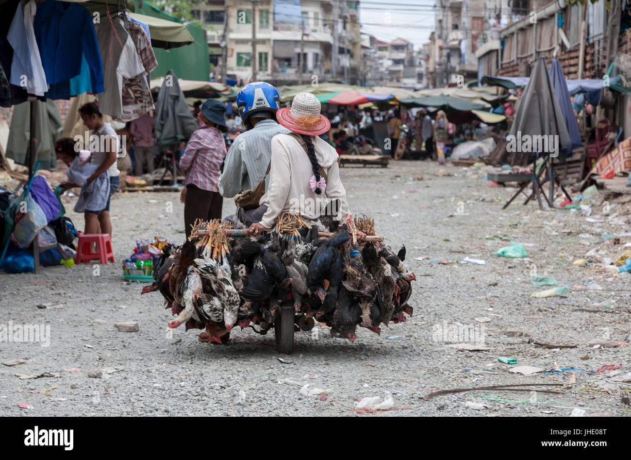 Motorbike chickens Phnom Penh. Cambodia Stock Photo