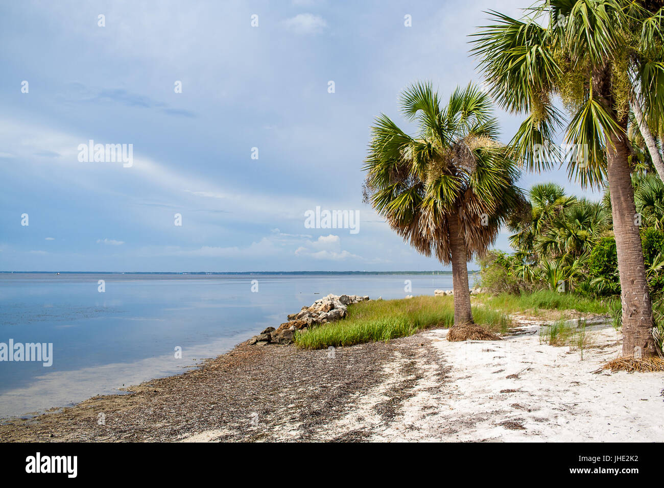 The shore of a calm bay with palm tress Stock Photo