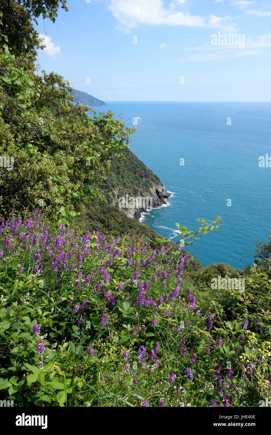 Monterosso Al Mare Path Hi res Stock Photography And Images Alamy monterosso-al-mare-path-hi-res-stock-photography-and-images-alamy