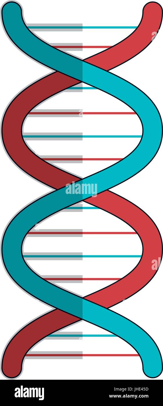 dna molecule isolated icon vector illustration design Stock Vector ...