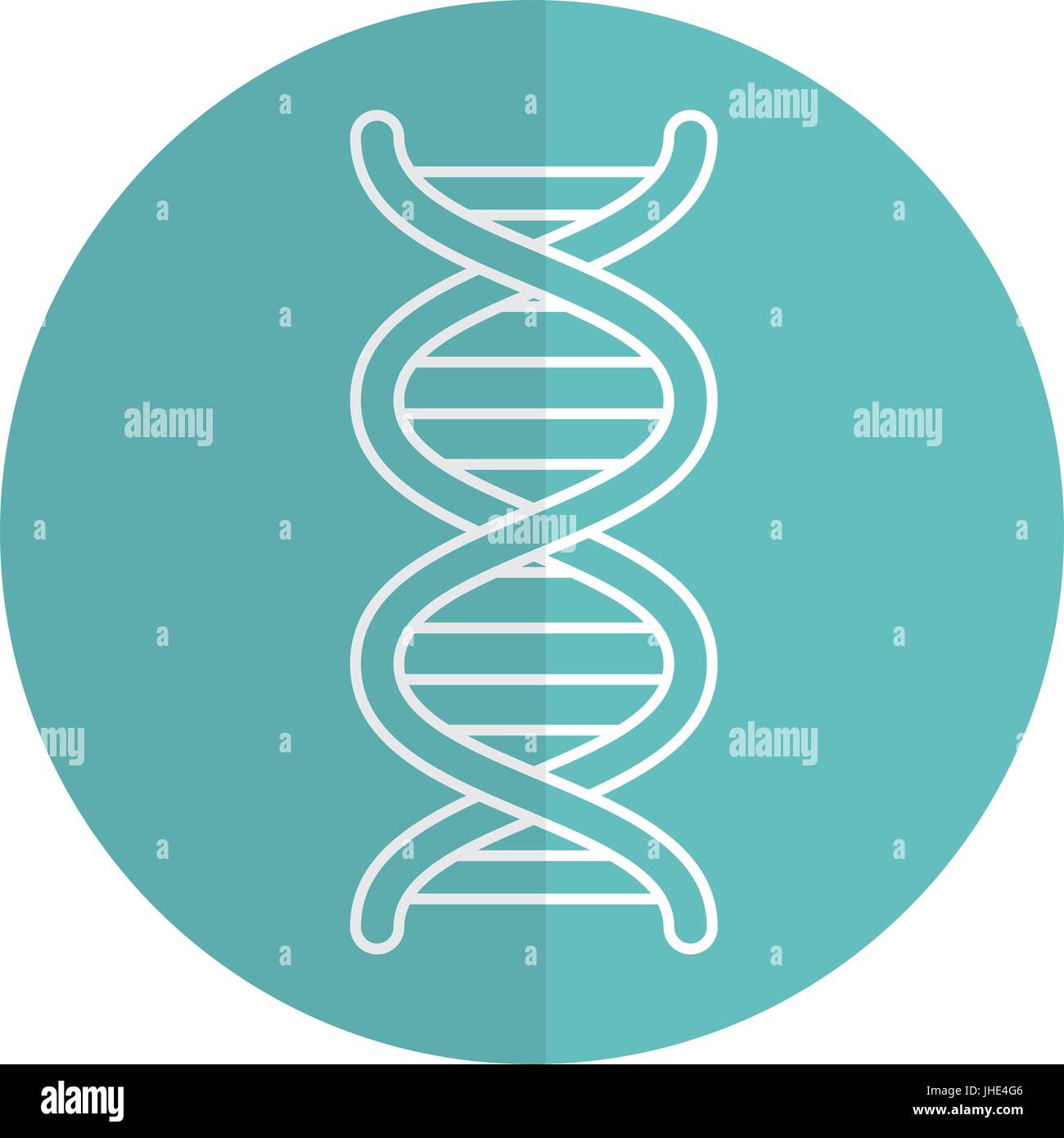 dna molecule isolated icon vector illustration design Stock Vector ...