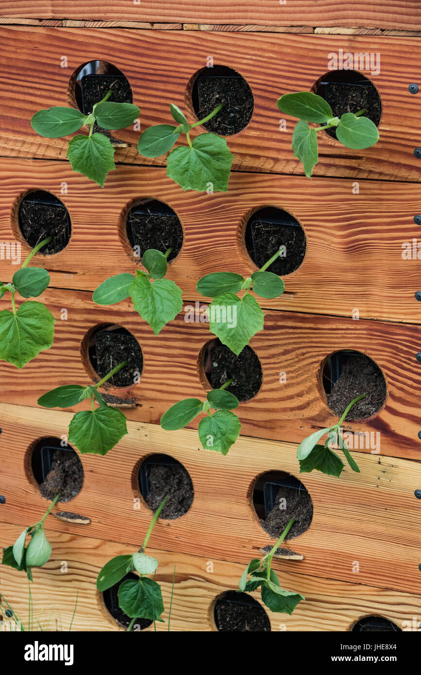 Urban planters hires stock photography and images Alamy