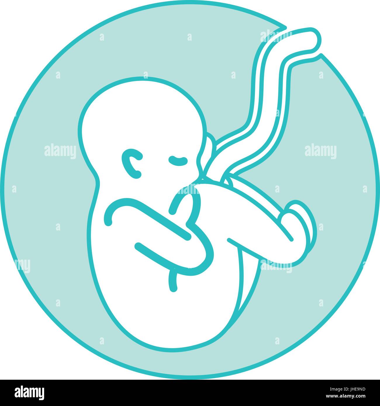 human fetus isolated icon Stock Vector Image & Art - Alamy