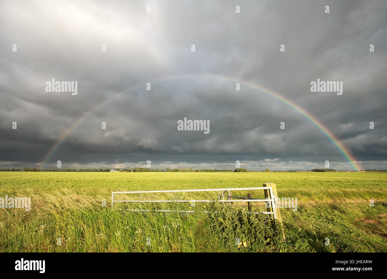 big rainbow over green meadow in summer Stock Photo
