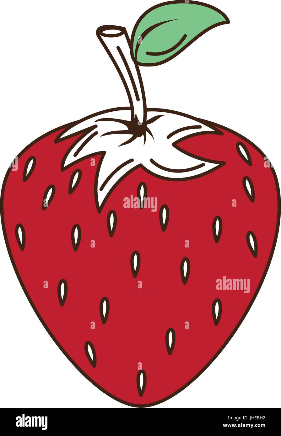 fresh strawberry isolated icon vector illustration design Stock Vector ...