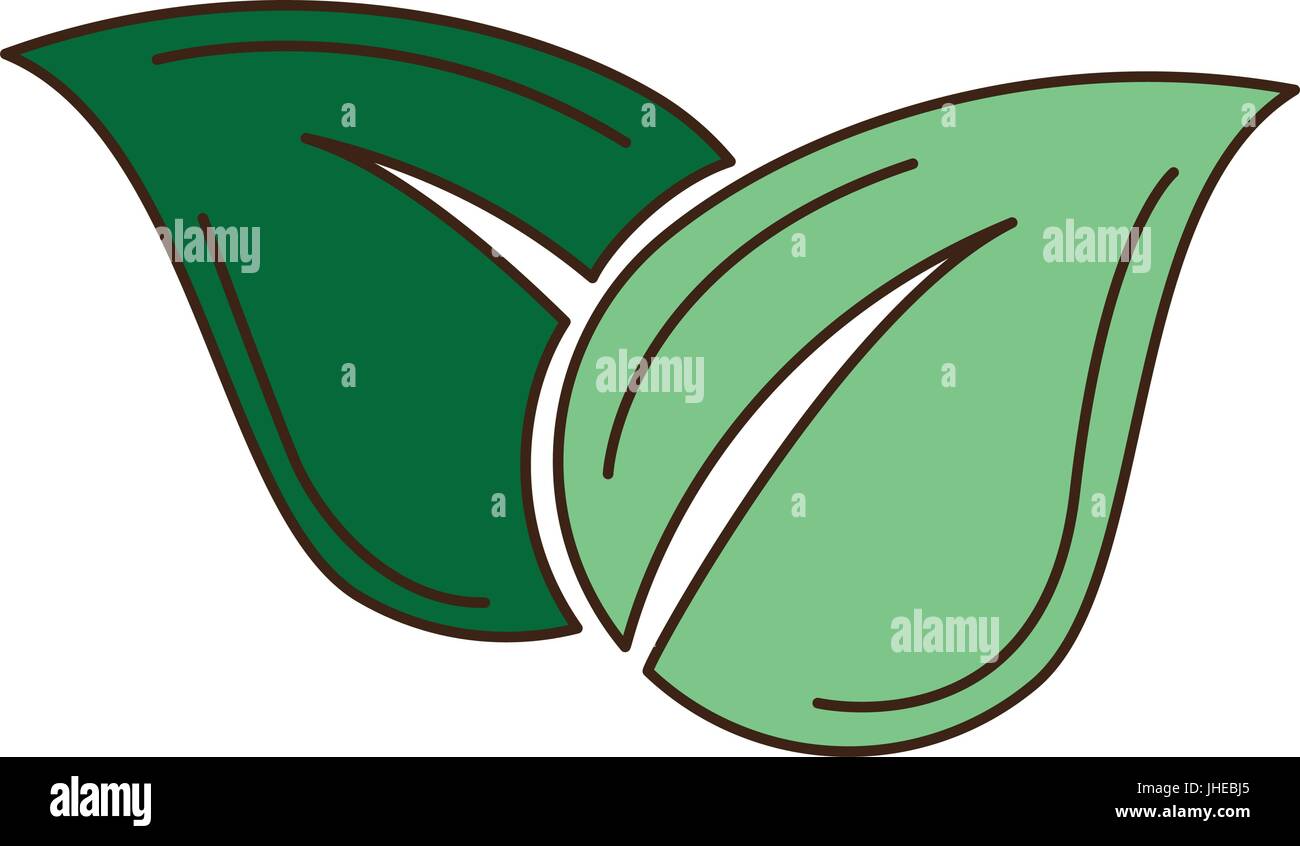 leafs plant ecology icon vector illustration design Stock Vector Image ...