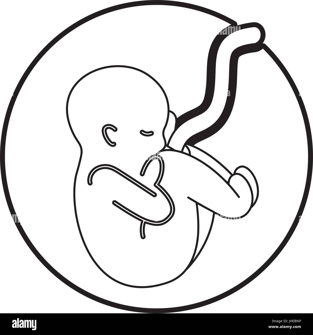 human fetus isolated icon Stock Vector Image & Art - Alamy