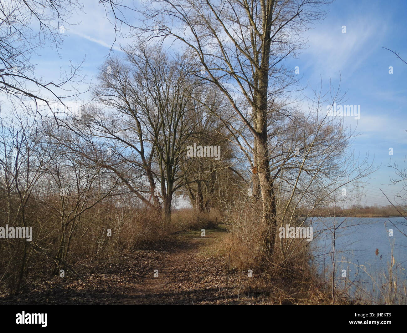 Slender structure features hi-res stock photography and images - Alamy