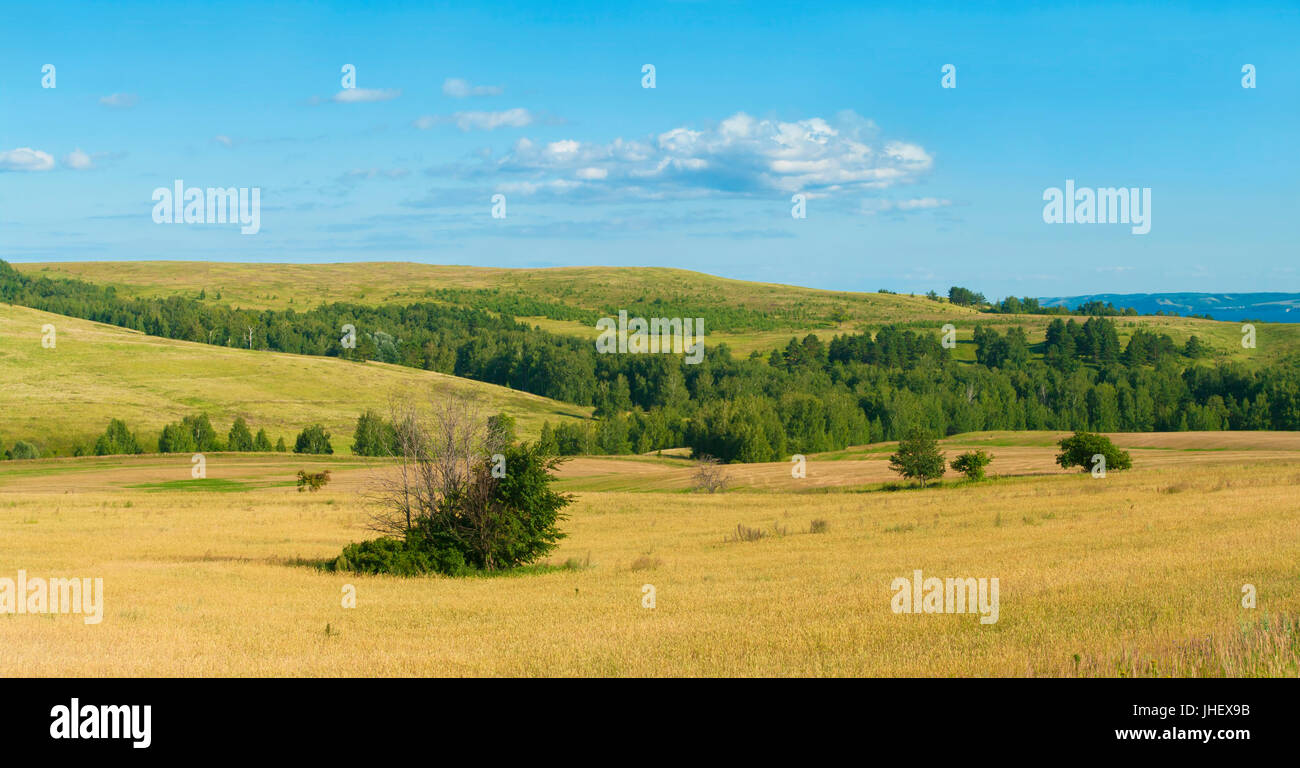 green hills and trees on sunny day Stock Photo - Alamy